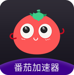 梯子回国